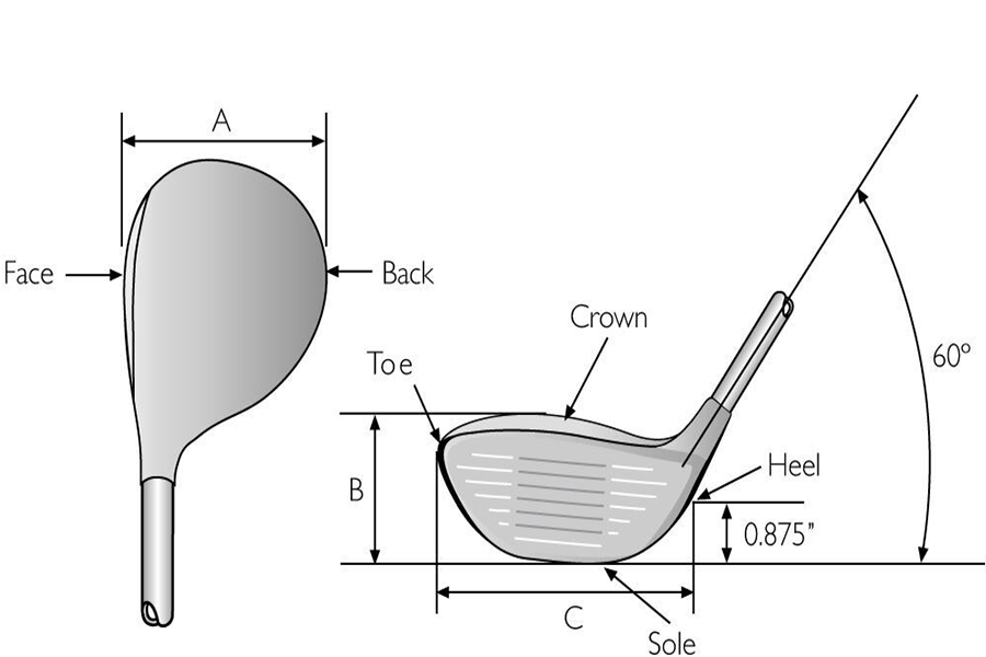 6194bf1e54ba224f97a100a5